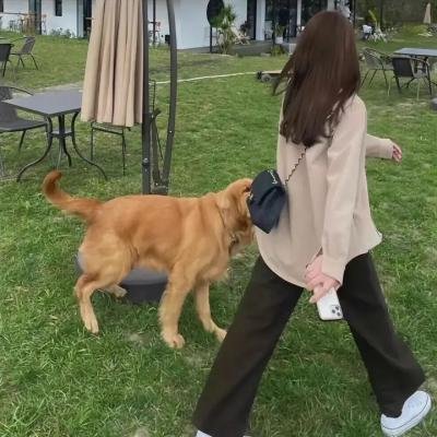 恐惧和欲望